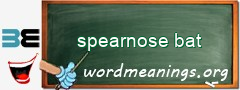 WordMeaning blackboard for spearnose bat